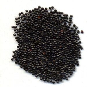 Семена Амаранта (черные)